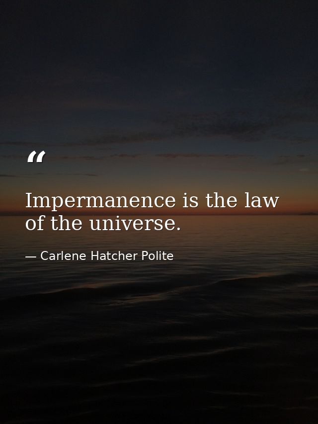 Impermanence is the law of the universe. — Carlene Hatcher Polite