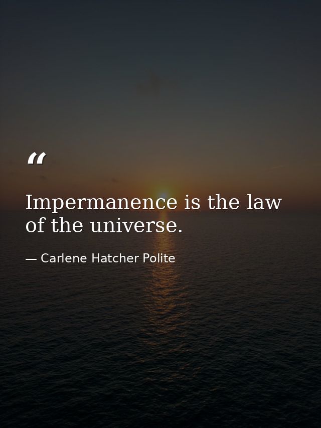 Impermanence is the law of the universe. — Carlene Hatcher Polite