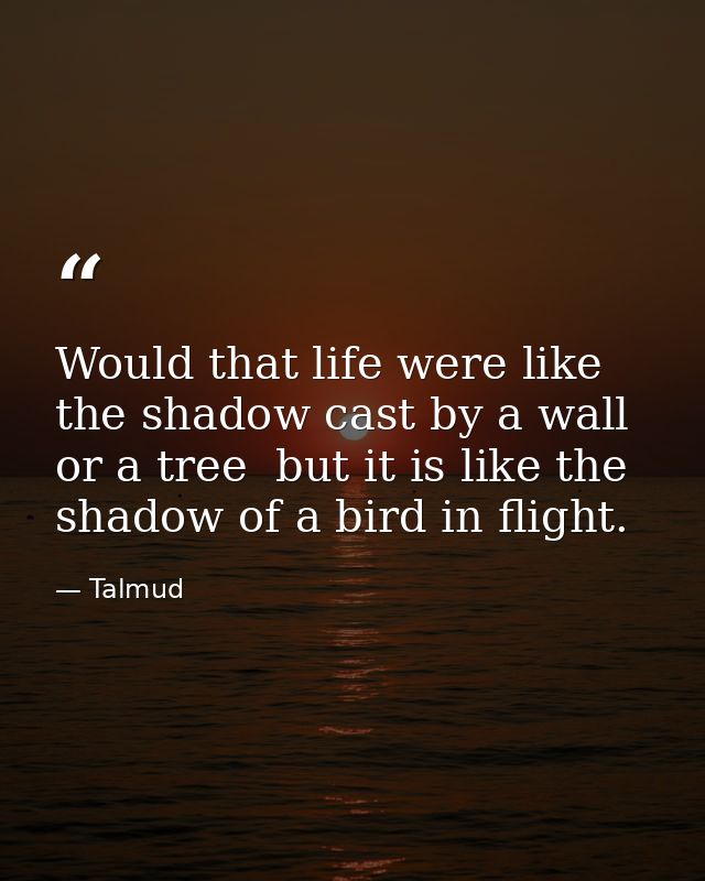 Would that life were like the shadow cast by a wall or a tree  but it is like the shadow of a bird in flight. — Talmud