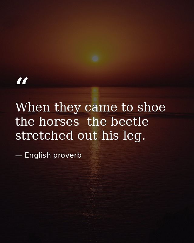 When they came to shoe the horses  the beetle stretched out his leg. — English proverb
