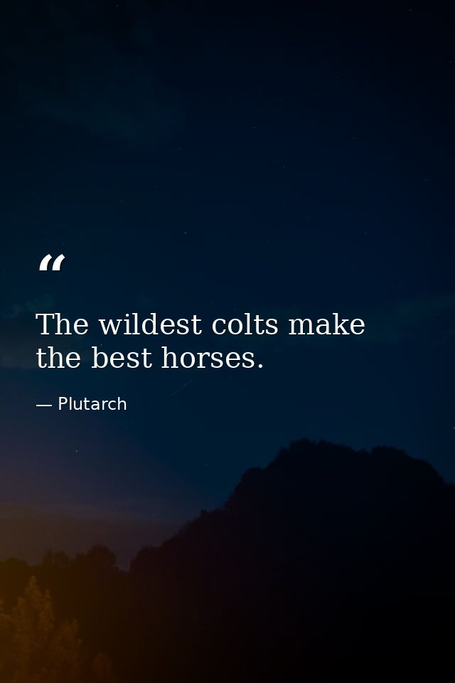 The wildest colts make the best horses. — Plutarch