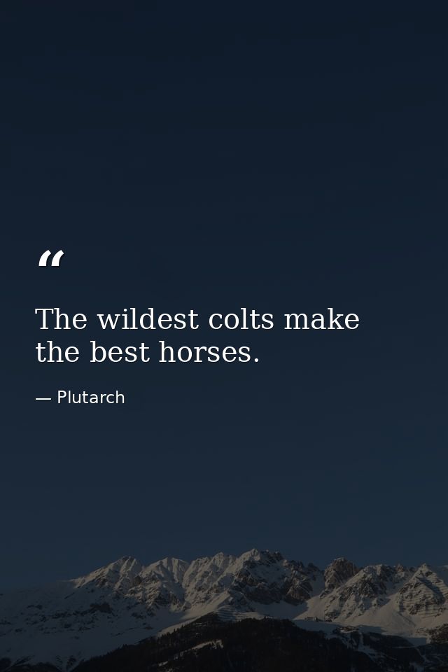 The wildest colts make the best horses. — Plutarch
