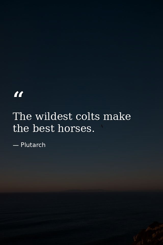 The wildest colts make the best horses. — Plutarch