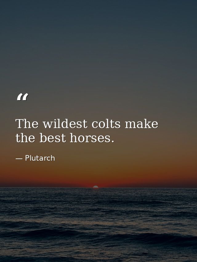 The wildest colts make the best horses. — Plutarch