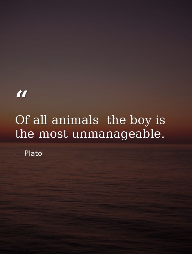 Of all animals  the boy is the most unmanageable. — Plato