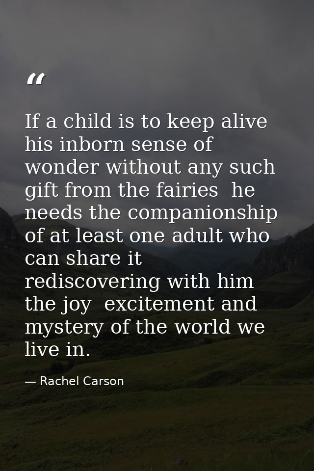 If a child is to keep alive his inborn sense of wonder without any such gift from the fairies  he needs the companionshi — Rachel Carson