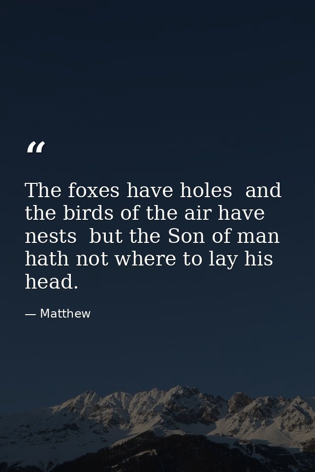 The foxes have holes  and the birds of the air have nests  but the Son of man hath not where to lay his head. — Matthew