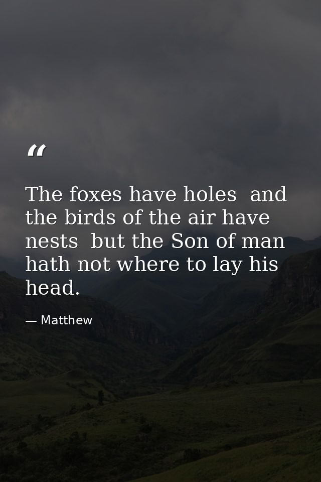 The foxes have holes  and the birds of the air have nests  but the Son of man hath not where to lay his head. — Matthew