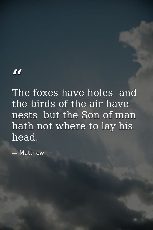 The foxes have holes  and the birds of the air have nests  but the Son of man hath not where to lay his head. — Matthew