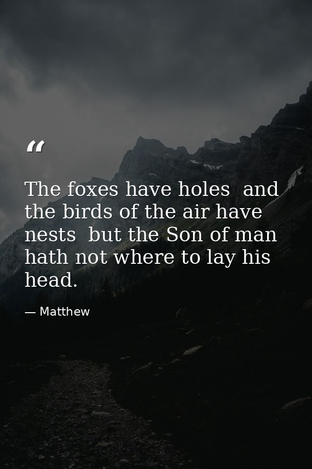 The foxes have holes  and the birds of the air have nests  but the Son of man hath not where to lay his head. — Matthew