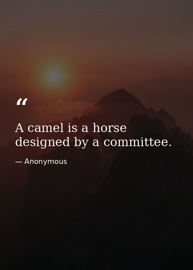 A camel is a horse designed by a committee. — Anonymous