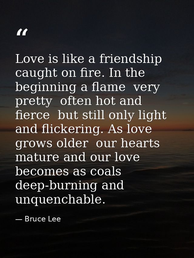 Love is like a friendship caught on fire. In the beginning a flame  very pretty  often hot and fierce  but still only li — Bruce Lee