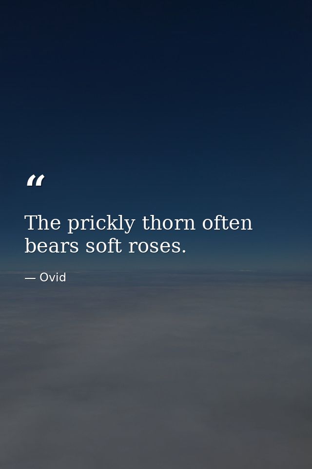 The prickly thorn often bears soft roses. — Ovid