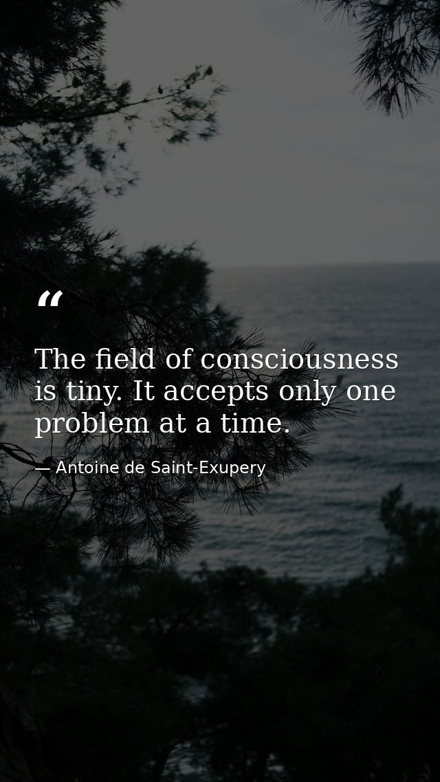 The field of consciousness is tiny. It accepts only one problem at a time. — Antoine de Saint-Exupery