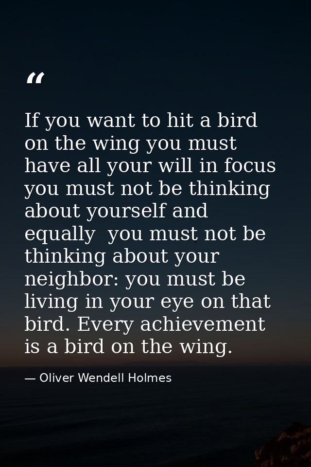 If you want to hit a bird on the wing you must have all your will in focus  you must not be thinking about yourself and  — Oliver Wendell Holmes