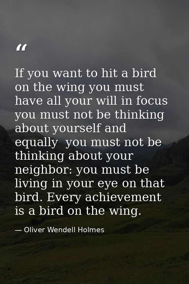 If you want to hit a bird on the wing you must have all your will in focus  you must not be thinking about yourself and  — Oliver Wendell Holmes