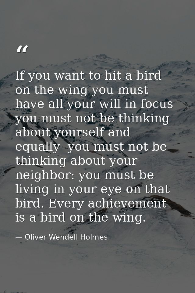 If you want to hit a bird on the wing you must have all your will in focus  you must not be thinking about yourself and  — Oliver Wendell Holmes