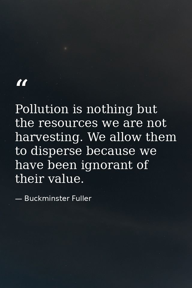 Pollution is nothing but the resources we are not harvesting. We allow them to disperse because we have been ignorant of — Buckminster Fuller
