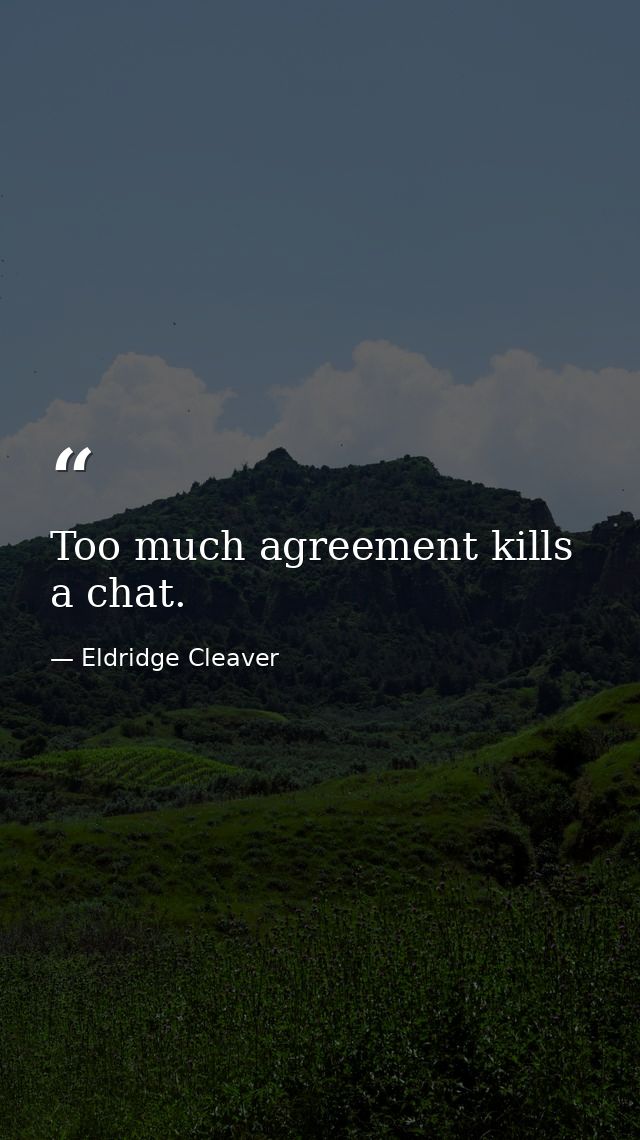 Too much agreement kills a chat. — Eldridge Cleaver