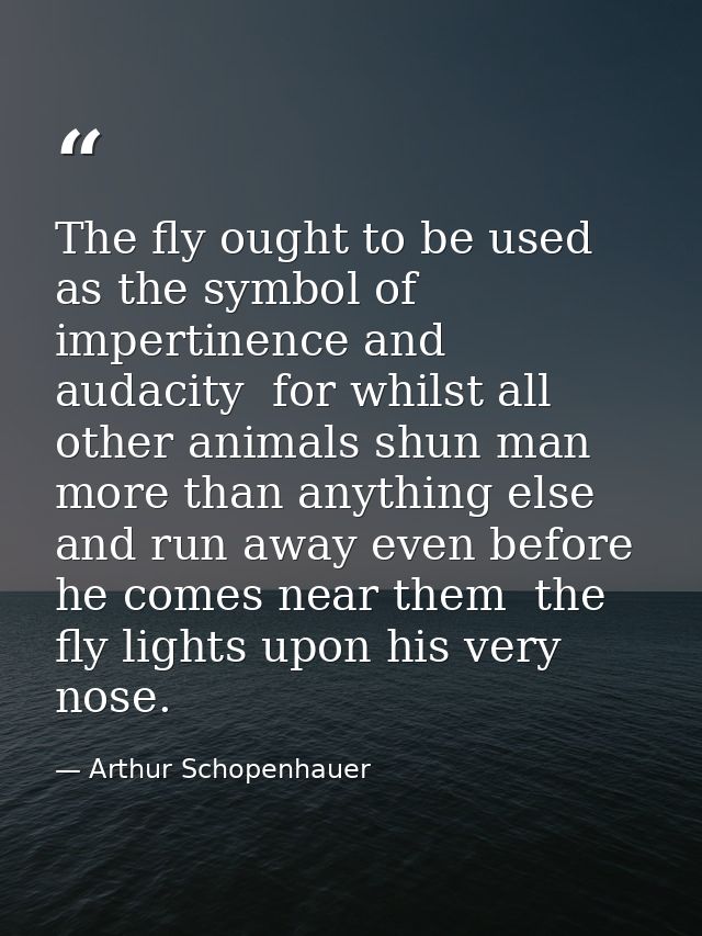 The fly ought to be used as the symbol of impertinence and audacity  for whilst all other animals shun man more than any — Arthur Schopenhauer