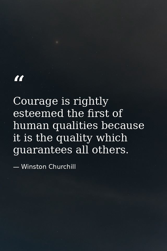 Courage is rightly esteemed the first of human qualities because it is the quality which guarantees all others. — Winston Churchill