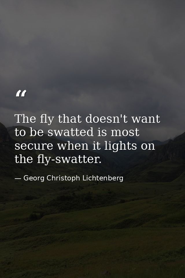 The fly that doesn't want to be swatted is most secure when it lights on the fly-swatter. — Georg Christoph Lichtenberg
