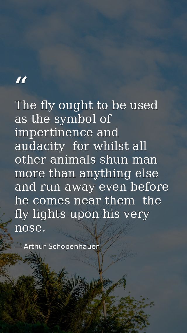The fly ought to be used as the symbol of impertinence and audacity  for whilst all other animals shun man more than any — Arthur Schopenhauer