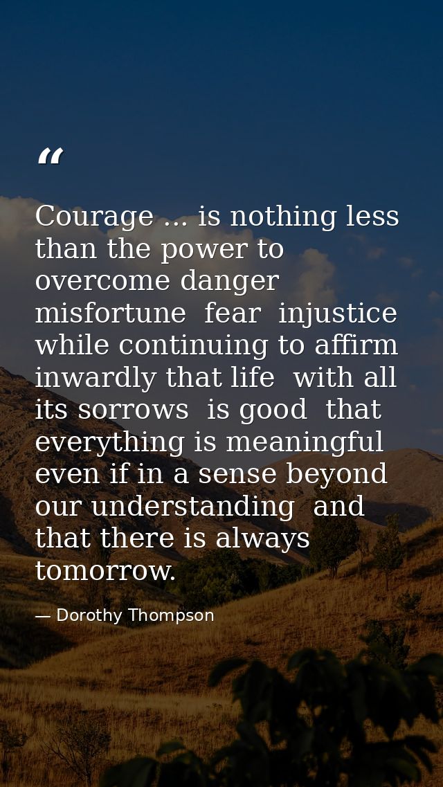 Courage ... is nothing less than the power to overcome danger  misfortune  fear  injustice  while continuing to affirm i — Dorothy Thompson