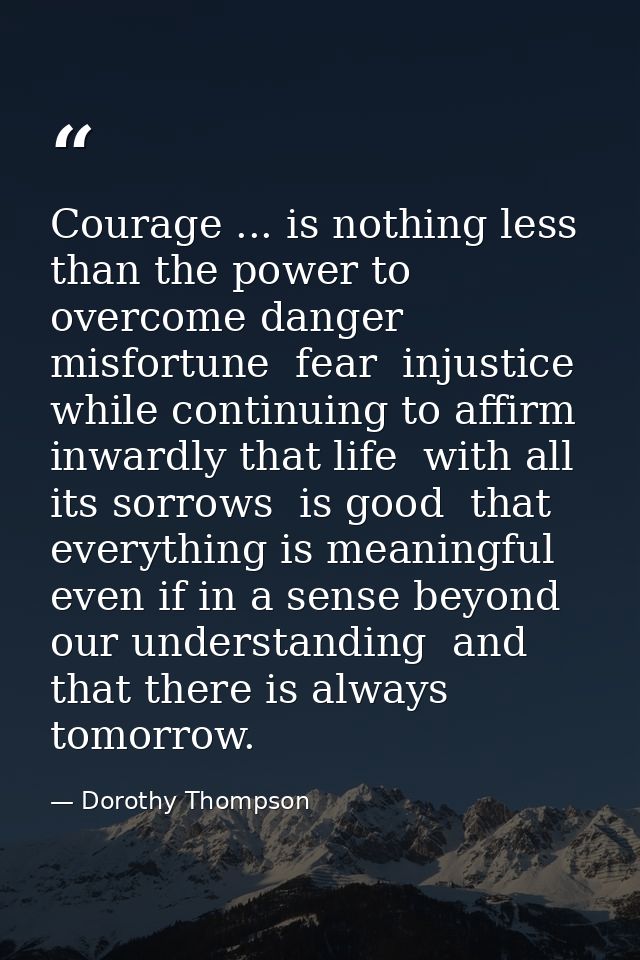 Courage ... is nothing less than the power to overcome danger  misfortune  fear  injustice  while continuing to affirm i — Dorothy Thompson