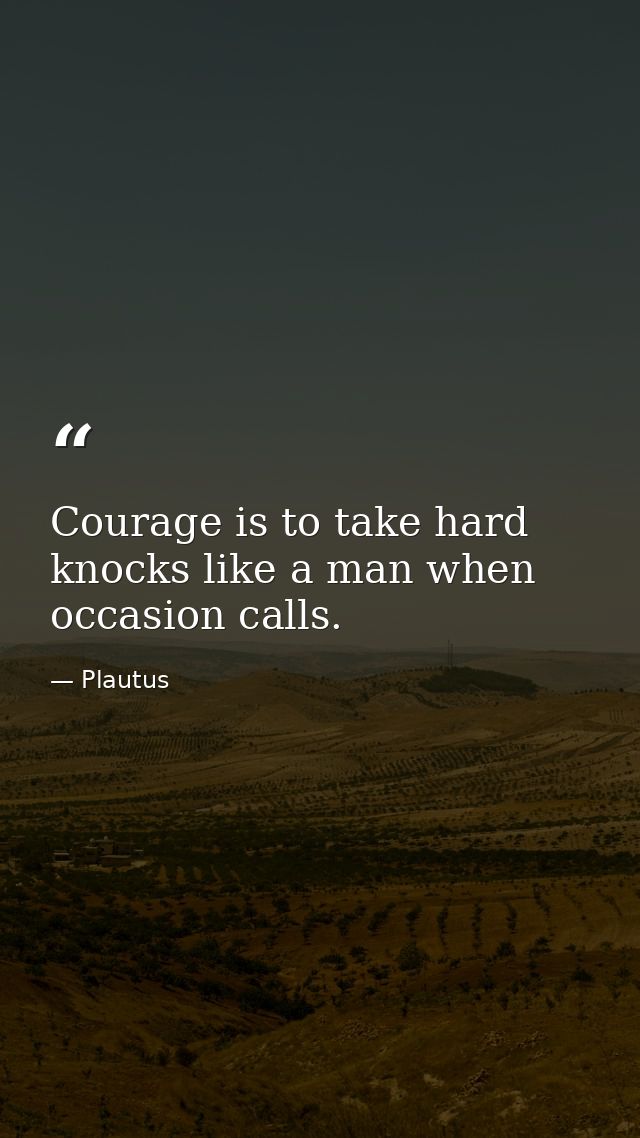 Courage is to take hard knocks like a man when occasion calls. — Plautus