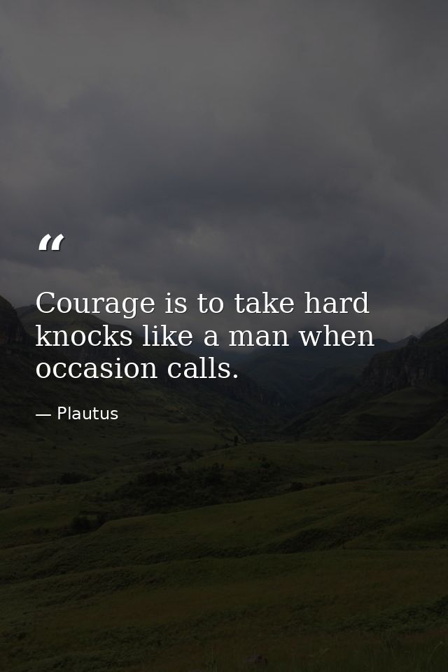 Courage is to take hard knocks like a man when occasion calls. — Plautus