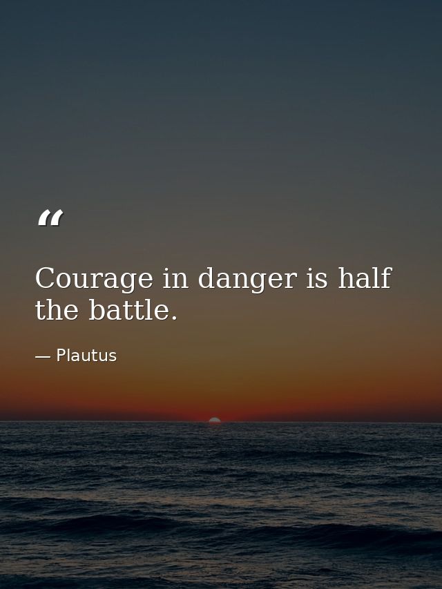 Courage in danger is half the battle. — Plautus