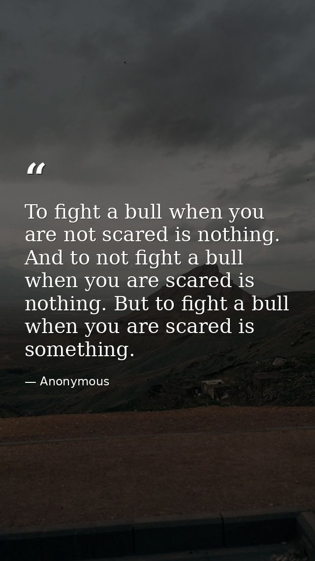 To fight a bull when you are not scared is nothing. And to not fight a bull when you are scared is nothing. But to fight — Anonymous