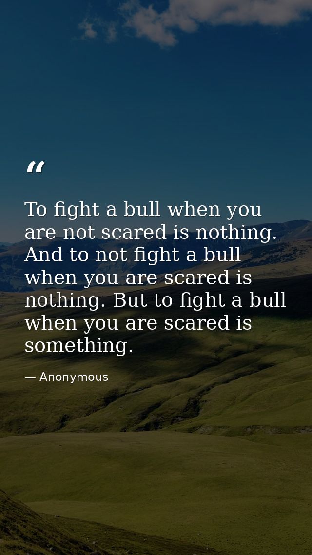 To fight a bull when you are not scared is nothing. And to not fight a bull when you are scared is nothing. But to fight — Anonymous