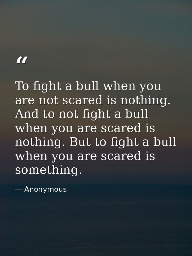 To fight a bull when you are not scared is nothing. And to not fight a bull when you are scared is nothing. But to fight — Anonymous