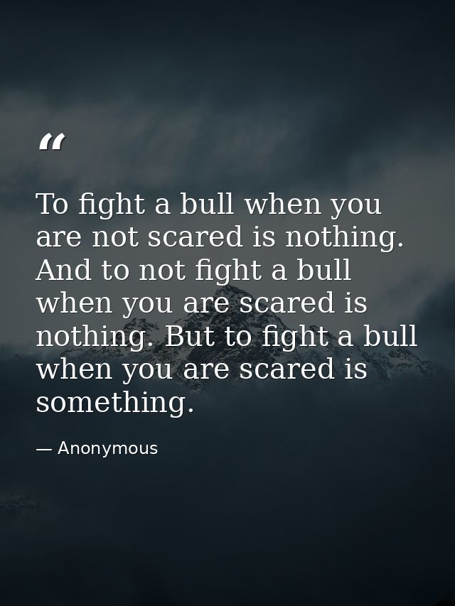 To fight a bull when you are not scared is nothing. And to not fight a bull when you are scared is nothing. But to fight — Anonymous