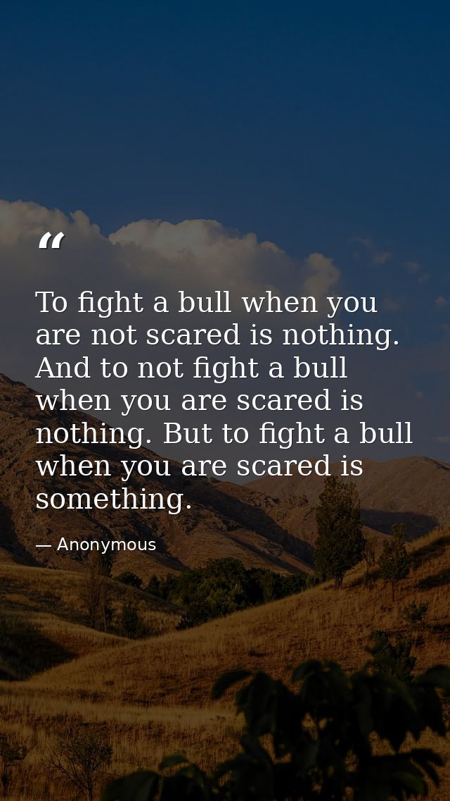 To fight a bull when you are not scared is nothing. And to not fight a bull when you are scared is nothing. But to fight — Anonymous