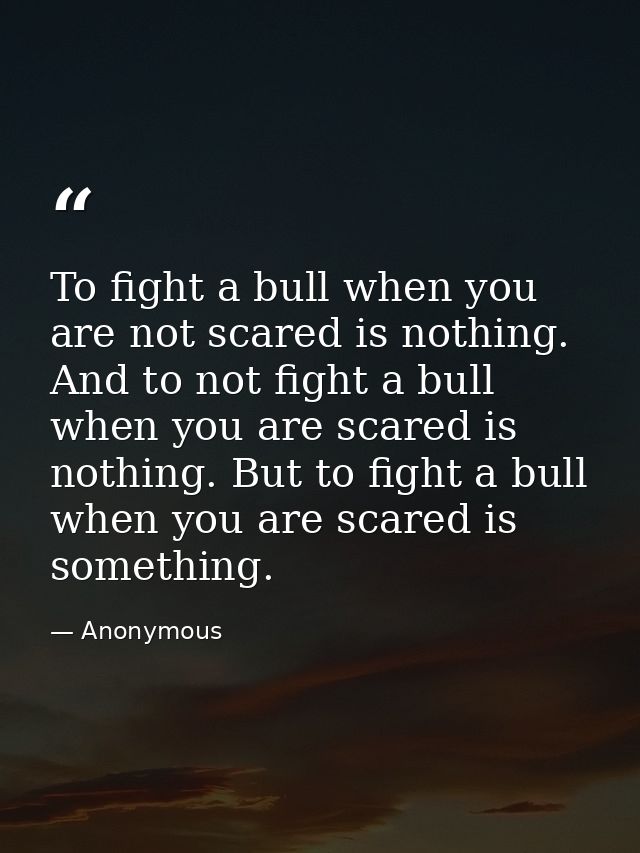 To fight a bull when you are not scared is nothing. And to not fight a bull when you are scared is nothing. But to fight — Anonymous