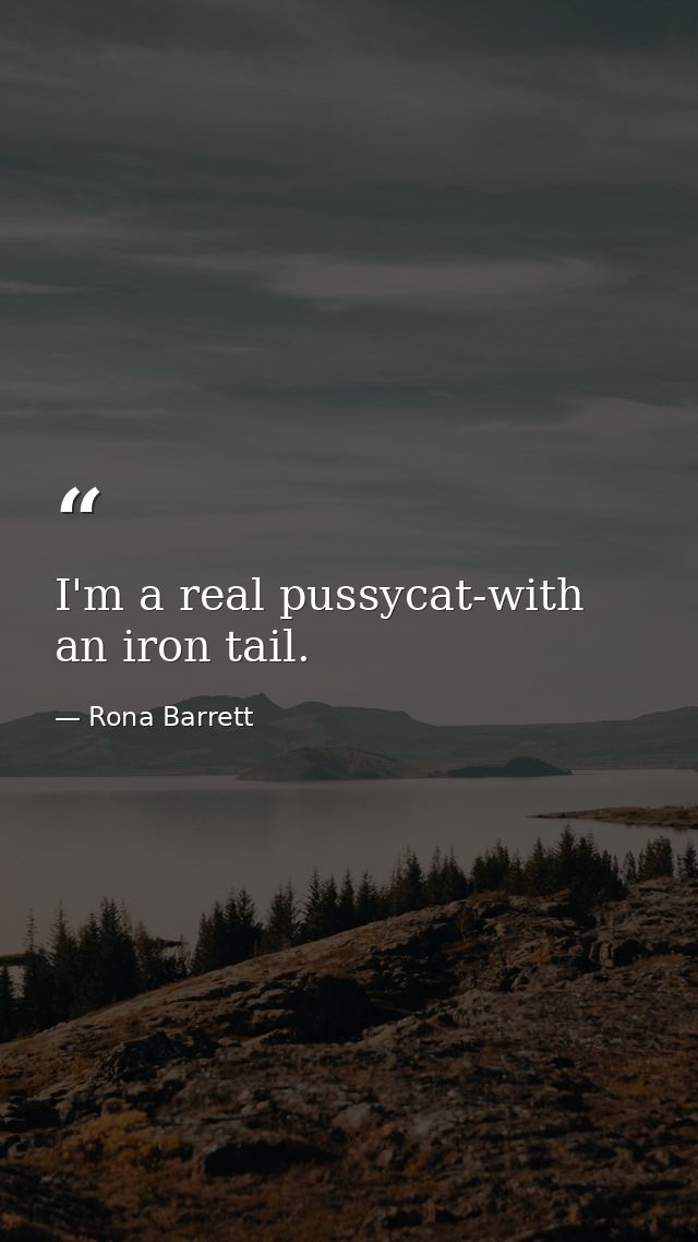 I'm a real pussycat-with an iron tail. — Rona Barrett