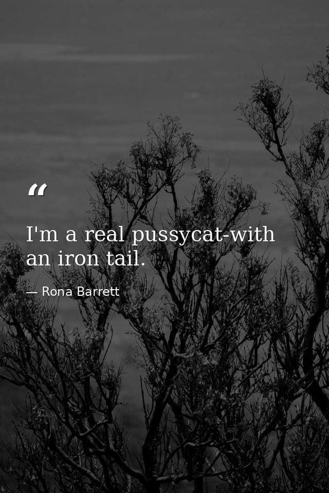 I'm a real pussycat-with an iron tail. — Rona Barrett