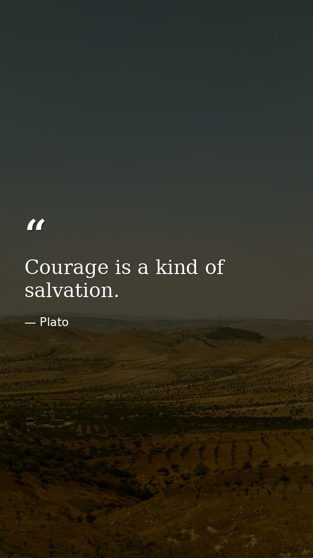 Courage is a kind of salvation. — Plato
