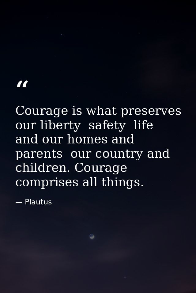 Courage is what preserves our liberty  safety  life  and our homes and parents  our country and children. Courage compri — Plautus