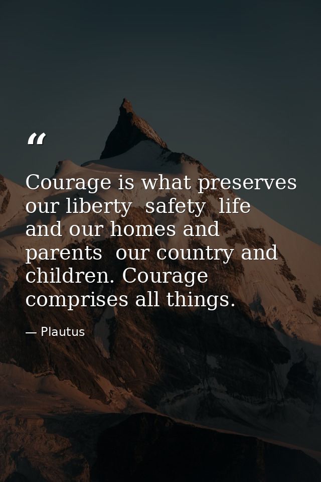 Courage is what preserves our liberty  safety  life  and our homes and parents  our country and children. Courage compri — Plautus