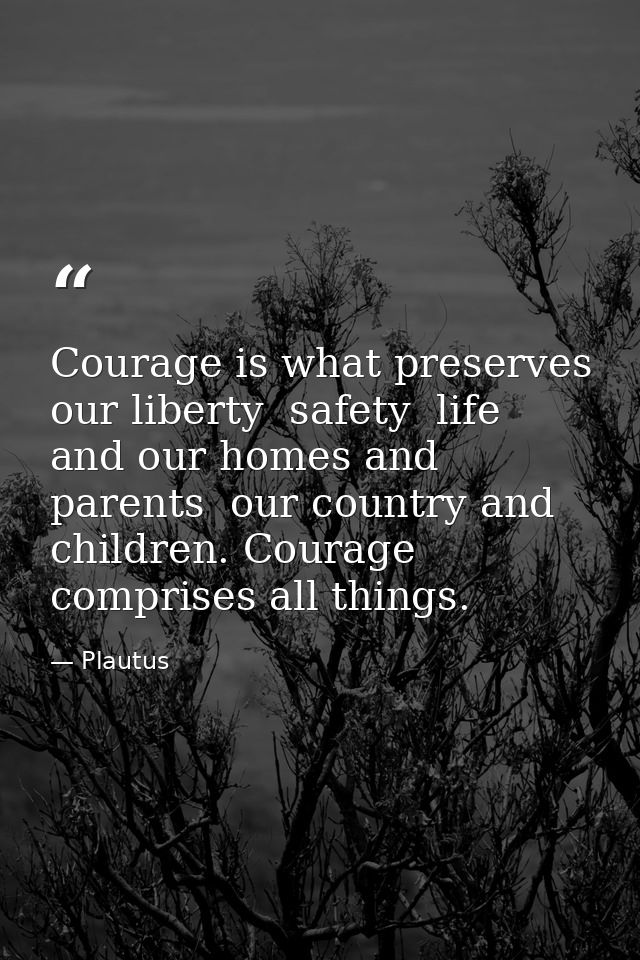 Courage is what preserves our liberty  safety  life  and our homes and parents  our country and children. Courage compri — Plautus