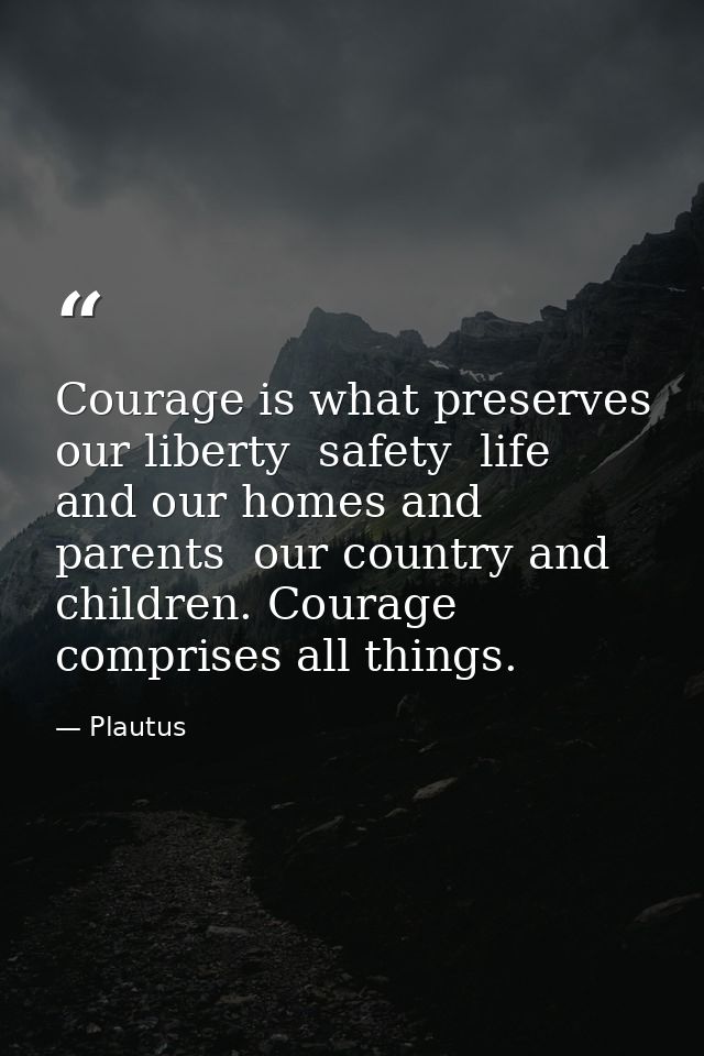 Courage is what preserves our liberty  safety  life  and our homes and parents  our country and children. Courage compri — Plautus