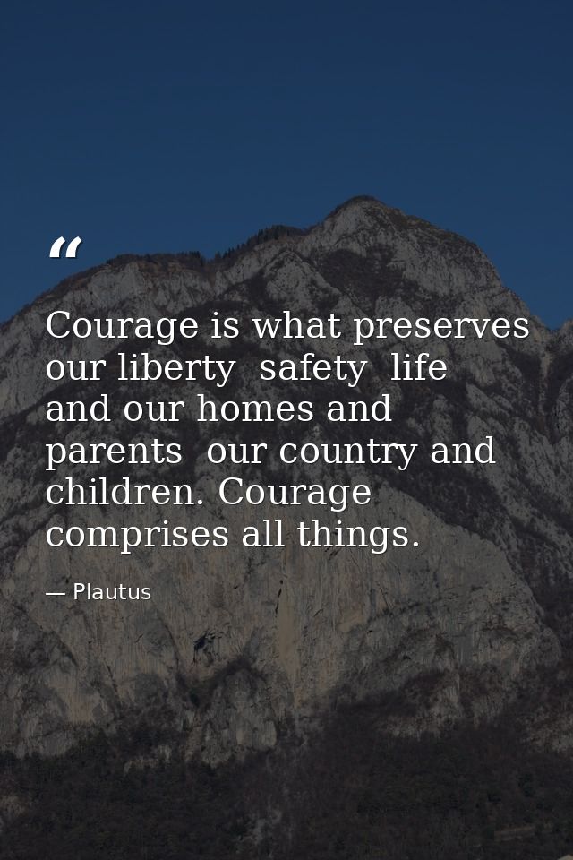 Courage is what preserves our liberty  safety  life  and our homes and parents  our country and children. Courage compri — Plautus