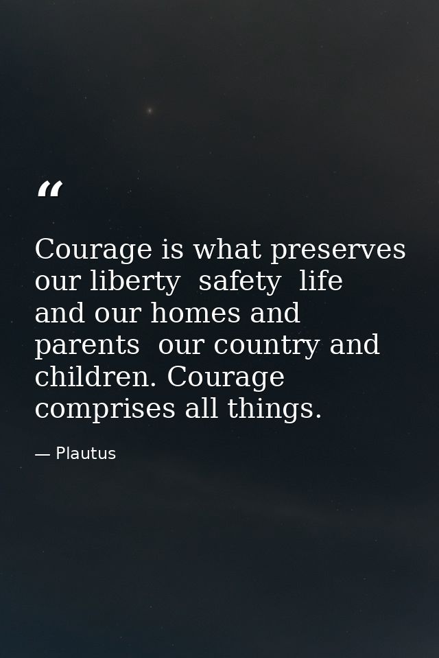 Courage is what preserves our liberty  safety  life  and our homes and parents  our country and children. Courage compri — Plautus