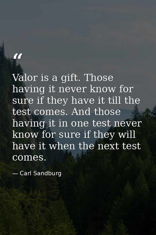 Valor is a gift. Those having it never know for sure if they have it till the test comes. And those having it in one tes — Carl Sandburg