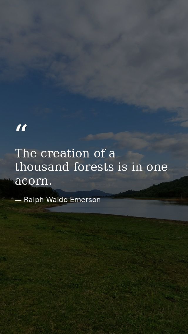 The creation of a thousand forests is in one acorn. — Ralph Waldo Emerson