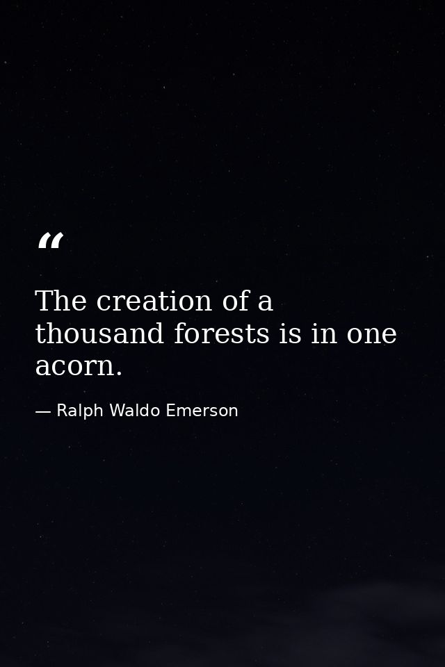 The creation of a thousand forests is in one acorn. — Ralph Waldo Emerson